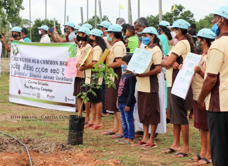 TREE #PLANTING To mark the fifth Anniversary of LAUDATO SI, A Tree Planting Campaigne was organized by Jana Setha Caritas – Kurunagala.