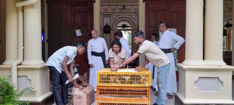 Under livestock rearing 400 Chick’s was distributed for selected farmers at North Payagala & Kuda Payagala. The Chick’s was distributed by Fr. Rangana Asst. Director Seth Sarana, Fr. Malaka Parish priest, Bro. Sehan, Program Coordinator and Project Coordinator. The distribution was facilitated by Food Security project.